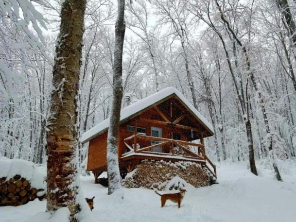 Les Cabines Nordik 2.0 Shawinigan Exteriör bild